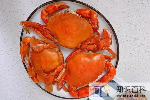 蒸螃蟹可以放啤酒吗1