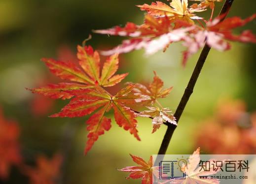 2022南京大概几月份天气变凉3