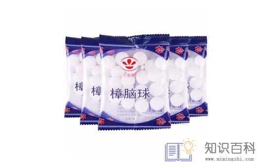 老鼠怕什么气味一闻就跑3