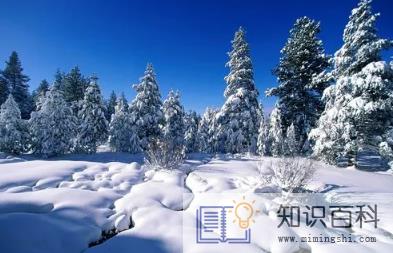 2022青岛冬天是旅游淡季还是旺季3