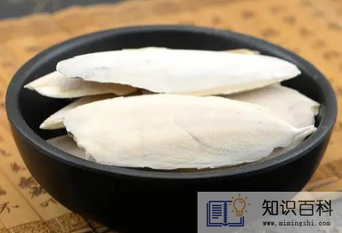 墨鱼骨的功效与作用1