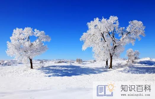 2022年冬天最低温度是几度 2