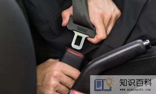 副驾驶不系安全带处罚司机还是乘客2