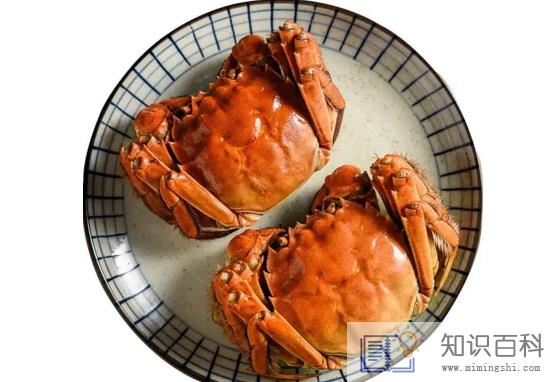 青蟹和大闸蟹哪个寒气重3