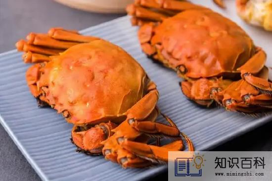 ​青蟹和大闸蟹哪个好吃1