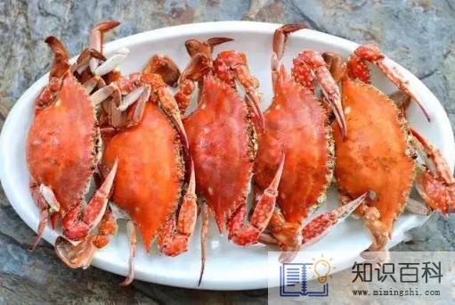 青蟹和大闸蟹哪个贵一些1