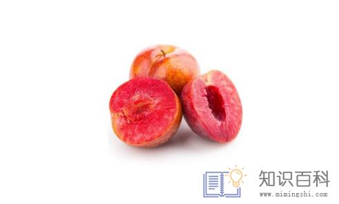 三华李的功效与作用2