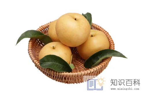 秋月梨和丰水梨是一个品种吗1