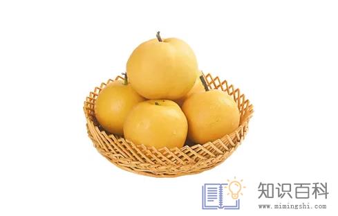 秋月梨和丰水梨是一个品种吗2