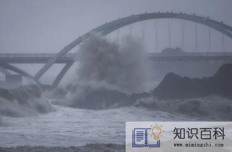 2022年台风梅花会影响浙江吗1
