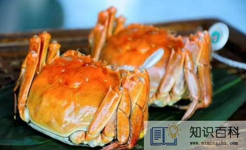 吃大闸蟹是沾醋还是酱油1