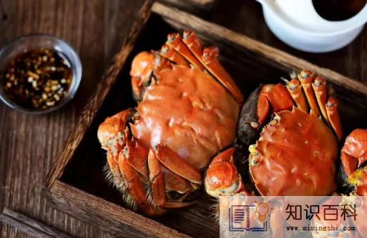 吃大闸蟹是沾醋还是酱油3
