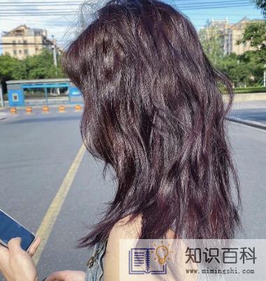黑紫色和黑加仑紫是一个颜色吗2