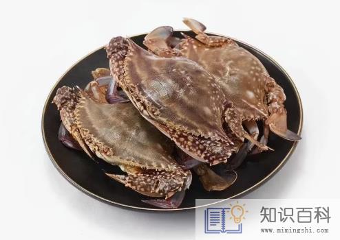 网购的梭子蟹上午到的到晚上吃可以吗2