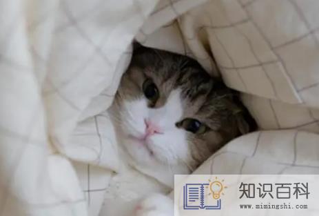 2023全国天气什么时候开始大幅降温4