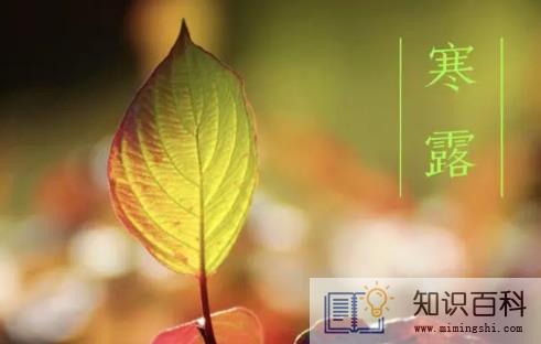 寒露是昼短夜长吗3