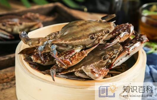 梭子蟹蒸了肚子张开还是卷起来1