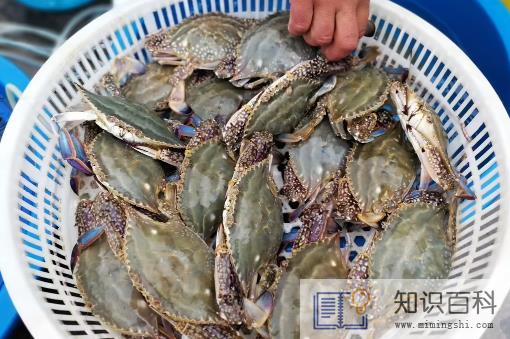 梭子蟹洗好放冰箱第二天烧可以吗1