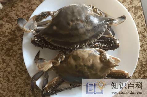 梭子蟹蟹黄在外面正常吗3