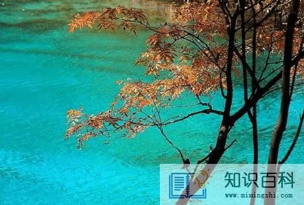 九寨沟今年国庆节开放吗20223