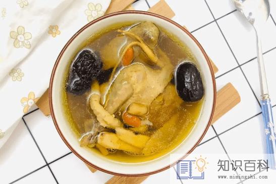 鸽子怎么炖汤好喝又营养2