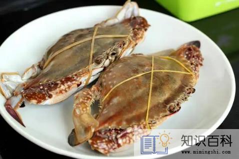 梭子蟹一斤能买两个吗3