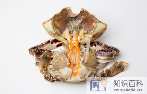 买梭子蟹是买活的还是冰冻的2