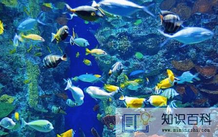 去海洋馆穿蓝色衣服好不好看1