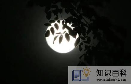 2022河南中秋节高速公路免费吗2