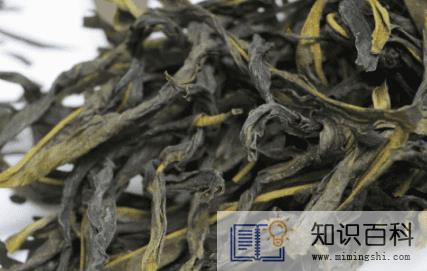鸭屎香属于生茶还是熟茶1