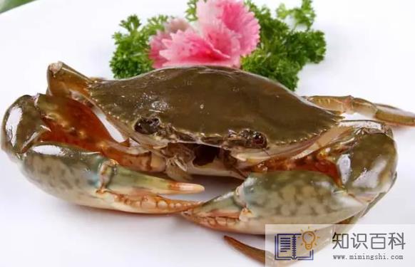 青蟹脚掉了还能吃吗1