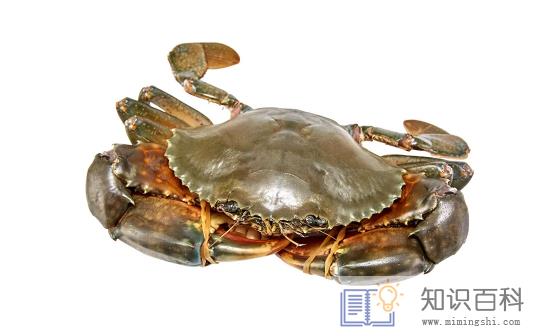 青蟹脚掉了还能吃吗2