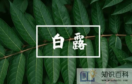 2022白露当天出生好还是白露后出生好1
