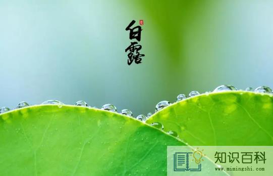 2022白露当天出生好还是白露后出生好2