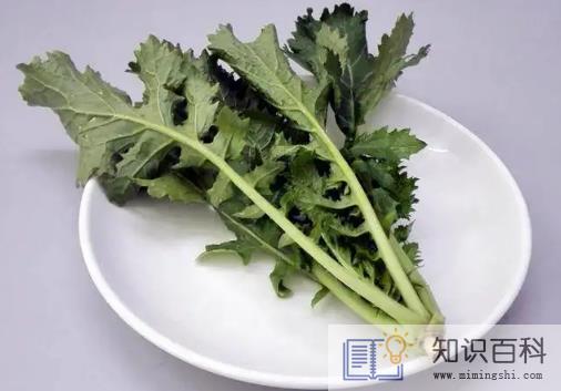 雪里蕻的功效与作用3