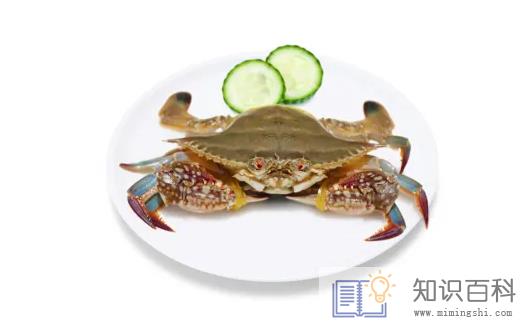 一只梭子蟹大概多重3