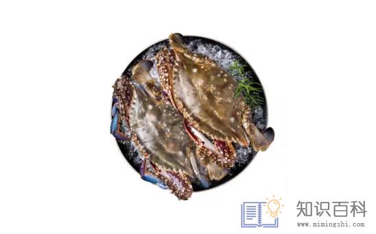 梭子蟹早上买还是下午买2