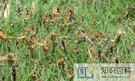 2023年兔年是涝年还是旱年1