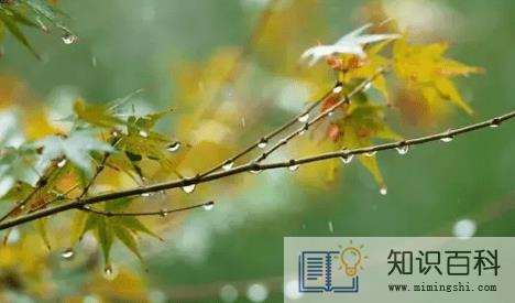 白露节气吃什么养生 1