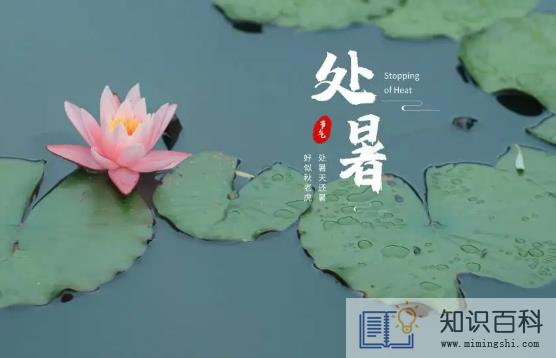2022年处暑是几伏天2