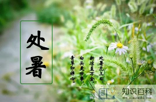 2022年处暑是几月几号几点几分几秒钟3