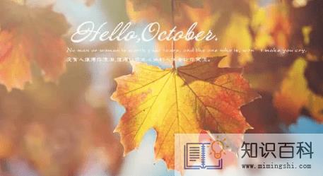 2022年农历十月初一是几号3