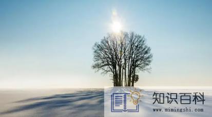 2022年到2023年什么时候变冷3