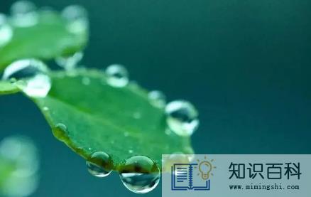 2022白露过后怎么还这么热1