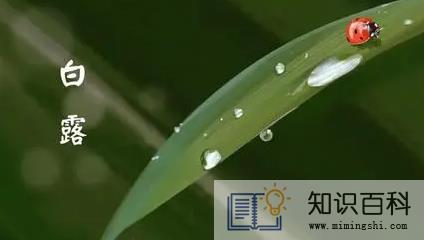 2022白露过后怎么还这么热3