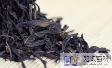 鸭屎香可以天天喝吗1
