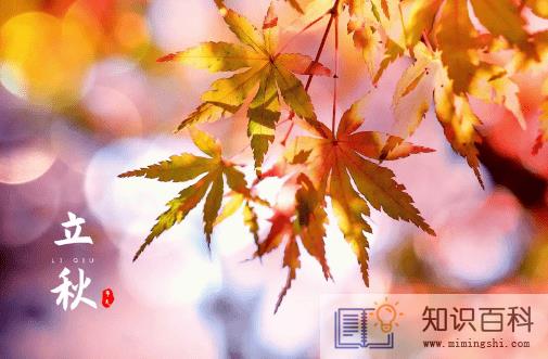 2022年立秋后气温度大概有多少度2