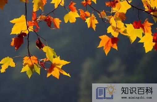 2022年立秋后气温度大概有多少度3