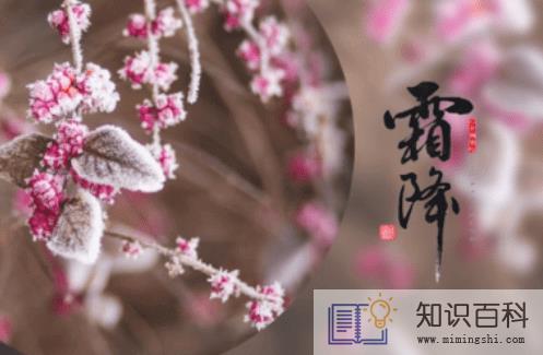 2022年霜降日子好不好 3