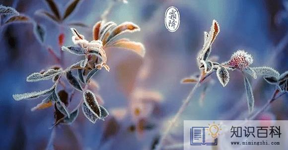 2022年霜降是几月几号3